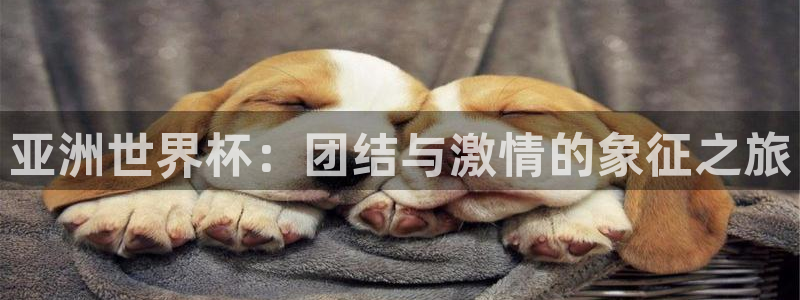 女足世界杯赛程：亚洲世界杯：团结与激情的象征之旅