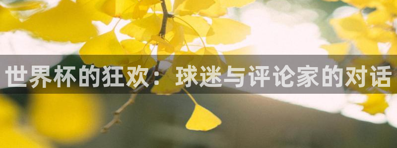 2026年世界杯赛程表时间：世界杯的狂欢：球迷与评论家的对话