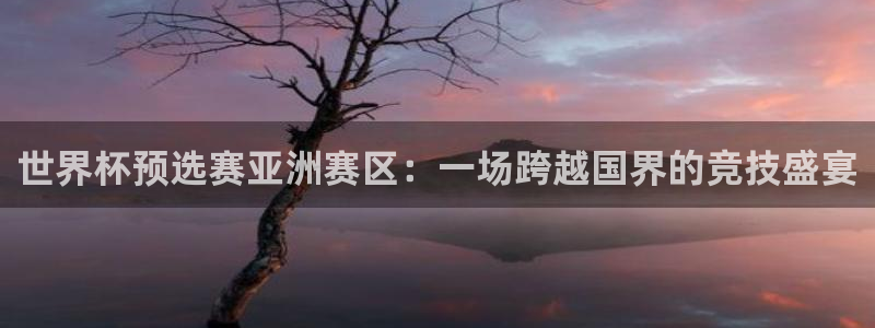 世界杯直播免费观看：世界杯预选赛亚洲赛区：一场跨越国界的竞技盛宴