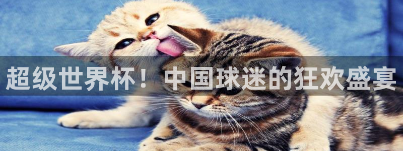 男足世界杯预选赛赛程：超级世界杯！中国球迷的狂欢盛宴