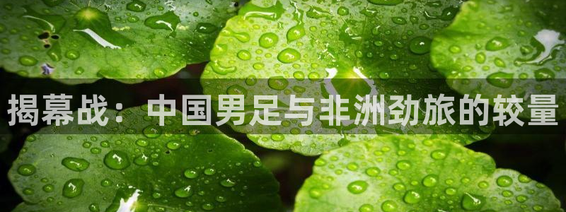 世界杯预选赛2026：揭幕战：中国男足与非洲劲旅的较量
