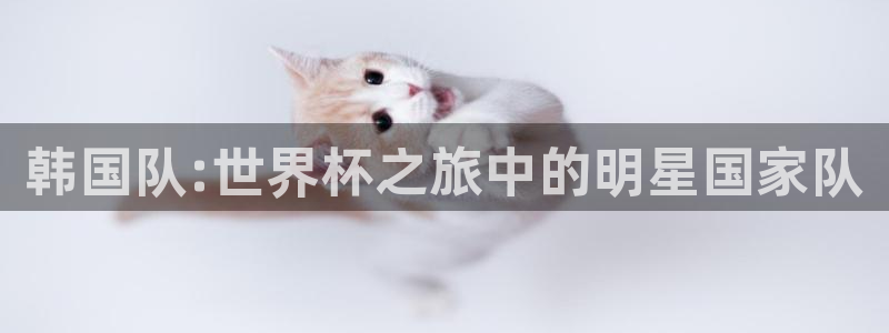 2026世界杯预选赛：韩国队:世界杯之旅中的明星国家队