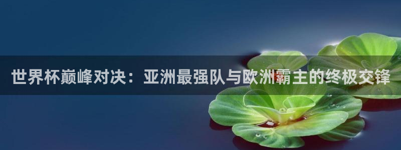 世界杯足球赛：世界杯巅峰对决：亚洲最强队与欧洲霸主的终极交锋