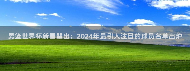 世界杯预选赛：男篮世界杯新星辈出：2024年最引人注目的球员名单出炉