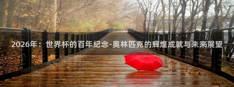 世界杯48支球队赛制：2026年：世界杯的百年纪念-奥林匹克的辉煌成就与未来展望