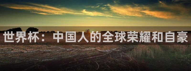 2026世界杯德国队阵容：世界杯：中国人的全球荣耀和自豪