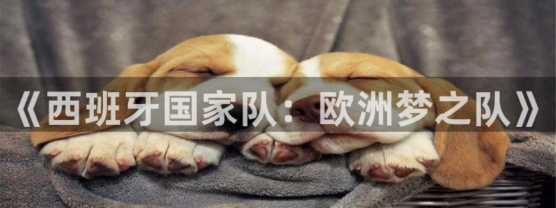 2026男足世界杯赛程：《西班牙国家队：欧洲梦之队》