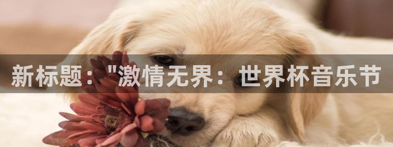 世界杯 直播：新标题：\