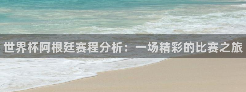 2026 世界杯：世界杯阿根廷赛程分析：一场精彩的比赛之旅