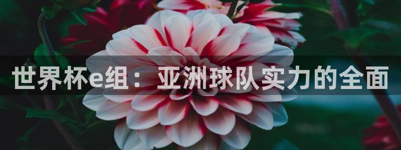免费足球比赛直播高清：世界杯e组：亚洲球队实力的全面
