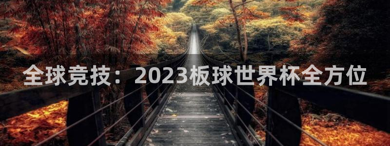 世界杯预选赛2026：全球竞技：2023板球世界杯全方位