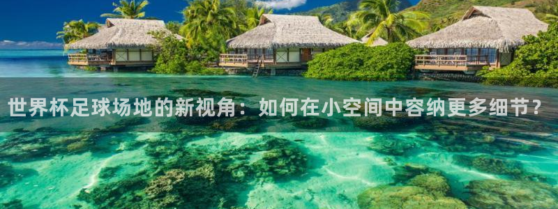 世界杯欧洲区世预赛赛程：世界杯足球场地的新视角：如何在小空间中容纳更多细节？