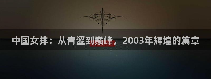 2026世界杯倒计时：中国女排：从青涩到巅峰，2003年辉煌的篇章